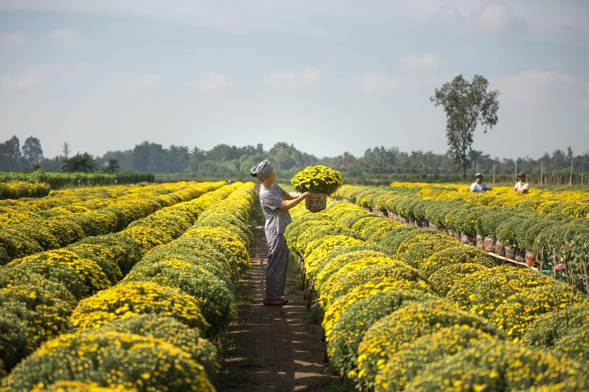 image of farmer